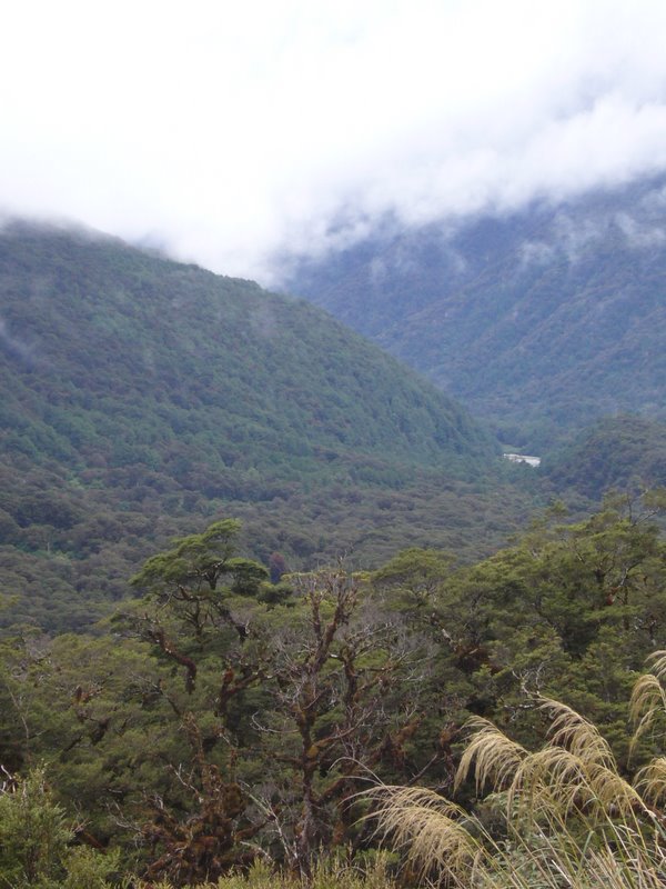 the valley below